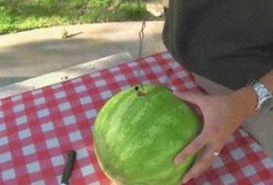 今日吃瓜感悟,品味人间百态