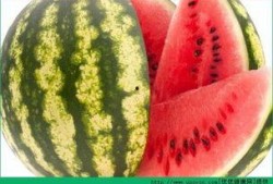 每日吃瓜,轻松掌握娱乐圈新鲜事